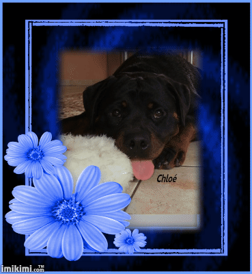 Montage Chloe