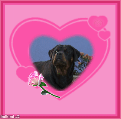 Montage Chloe