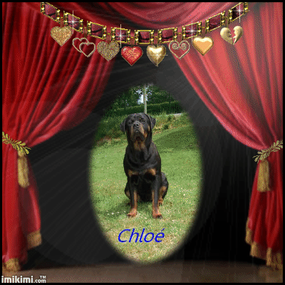 Montage Chloe