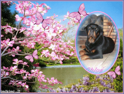 Montage Chloe